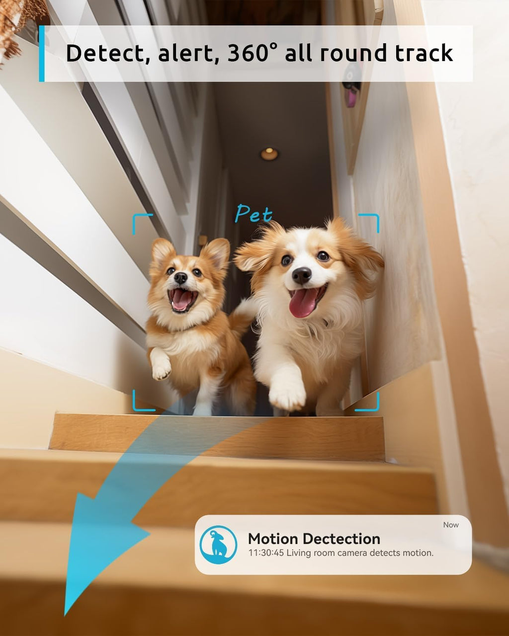 blurams 5G Indoor Cameras for Home Security, 2K Pet Camera with Phone App, 360° PTZ Home Cam w/Dual-Band WiFi6, 2-Way Talk, Free Human/Sound Detection, Motion Tracking, Night Vision, Works with Alexa