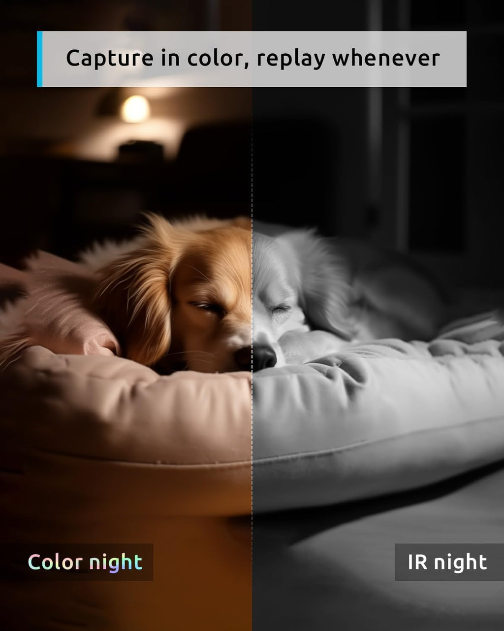 blurams 5G Indoor Cameras for Home Security, 2K Pet Camera with Phone App, 360° PTZ Home Cam w/Dual-Band WiFi6, 2-Way Talk, Free Human/Sound Detection, Motion Tracking, Night Vision, Works with Alexa