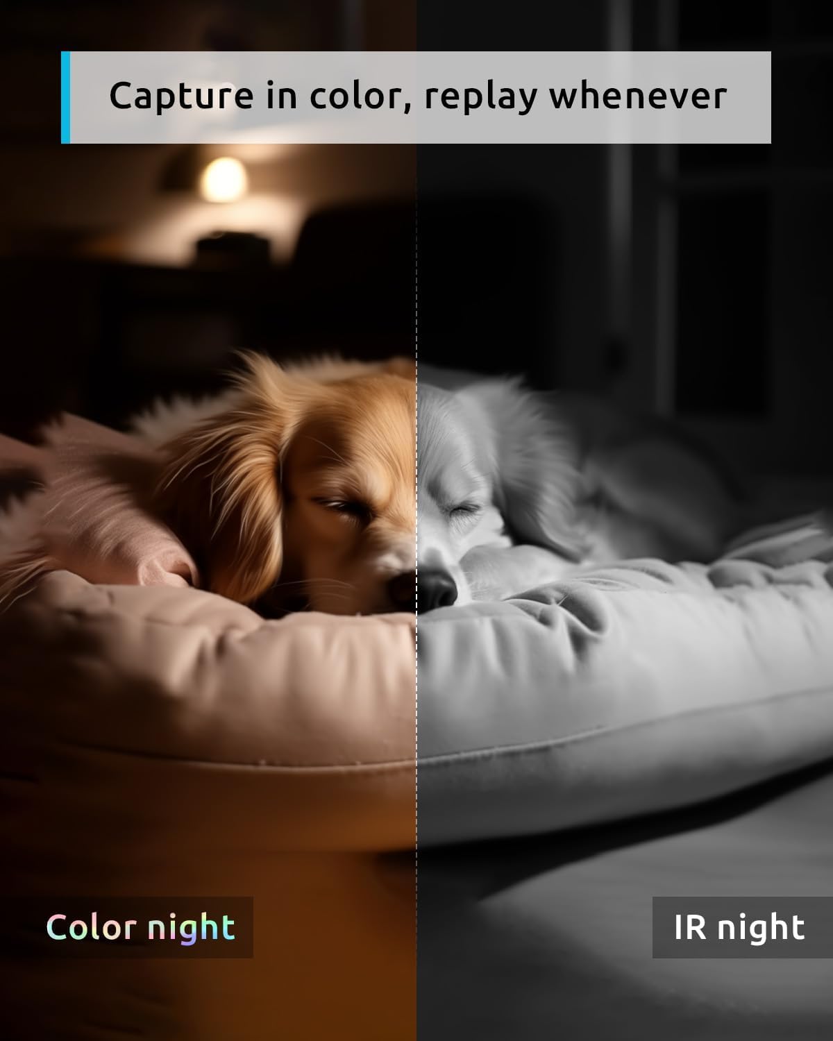 blurams 5G Indoor Cameras for Home Security, 2K Pet Camera with Phone App, 360° PTZ Home Cam w/Dual-Band WiFi6, 2-Way Talk, Free Human/Sound Detection, Motion Tracking, Night Vision, Works with Alexa