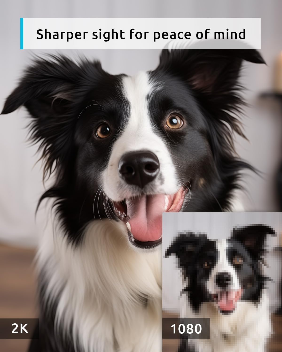 blurams 5G Indoor Cameras for Home Security, 2K Pet Camera with Phone App, 360° PTZ Home Cam w/Dual-Band WiFi6, 2-Way Talk, Free Human/Sound Detection, Motion Tracking, Night Vision, Works with Alexa